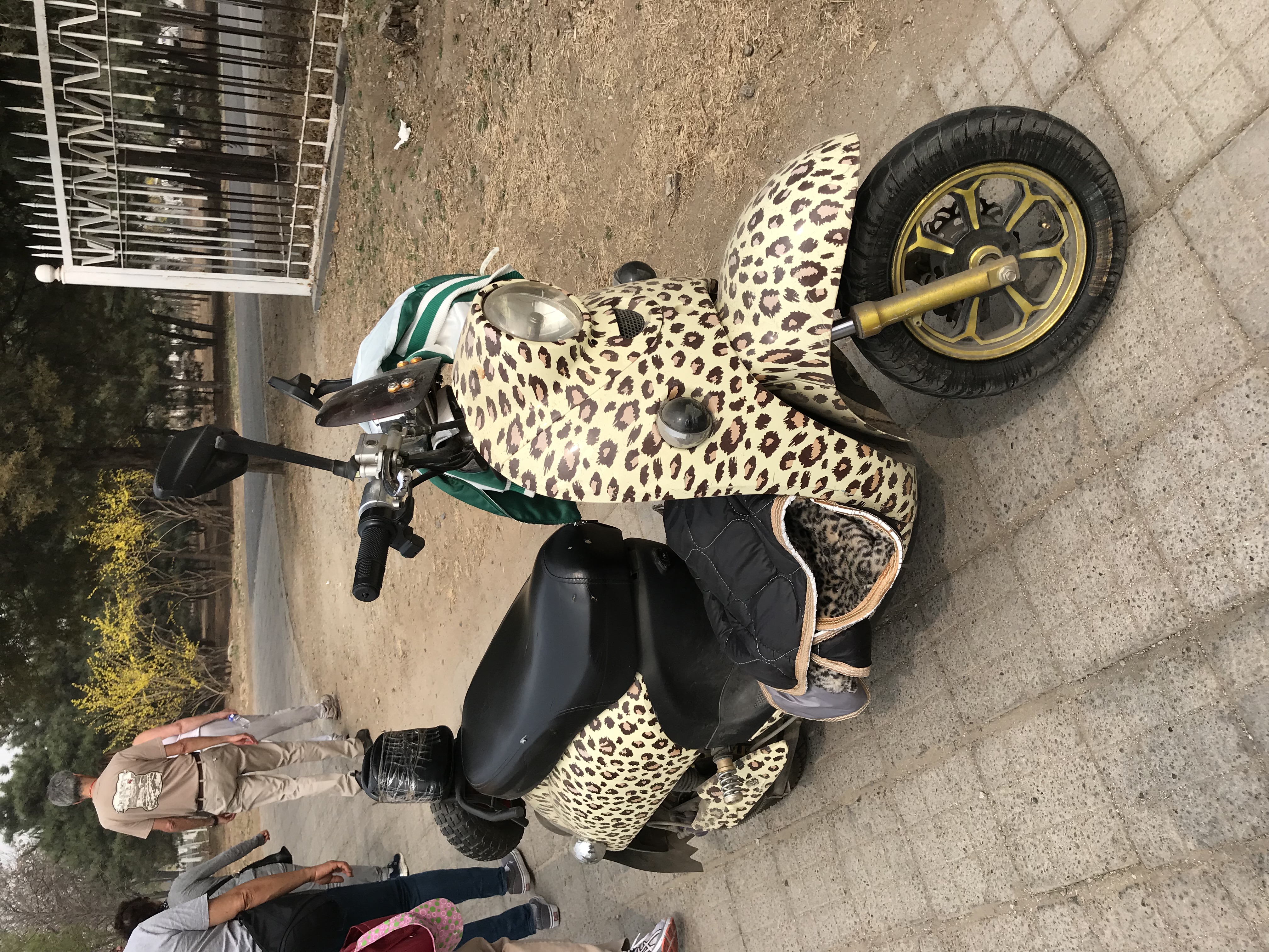 ./2018/03 - Viking China/04 - Sacred Way Ming Tombs/IMG_5215.JPG